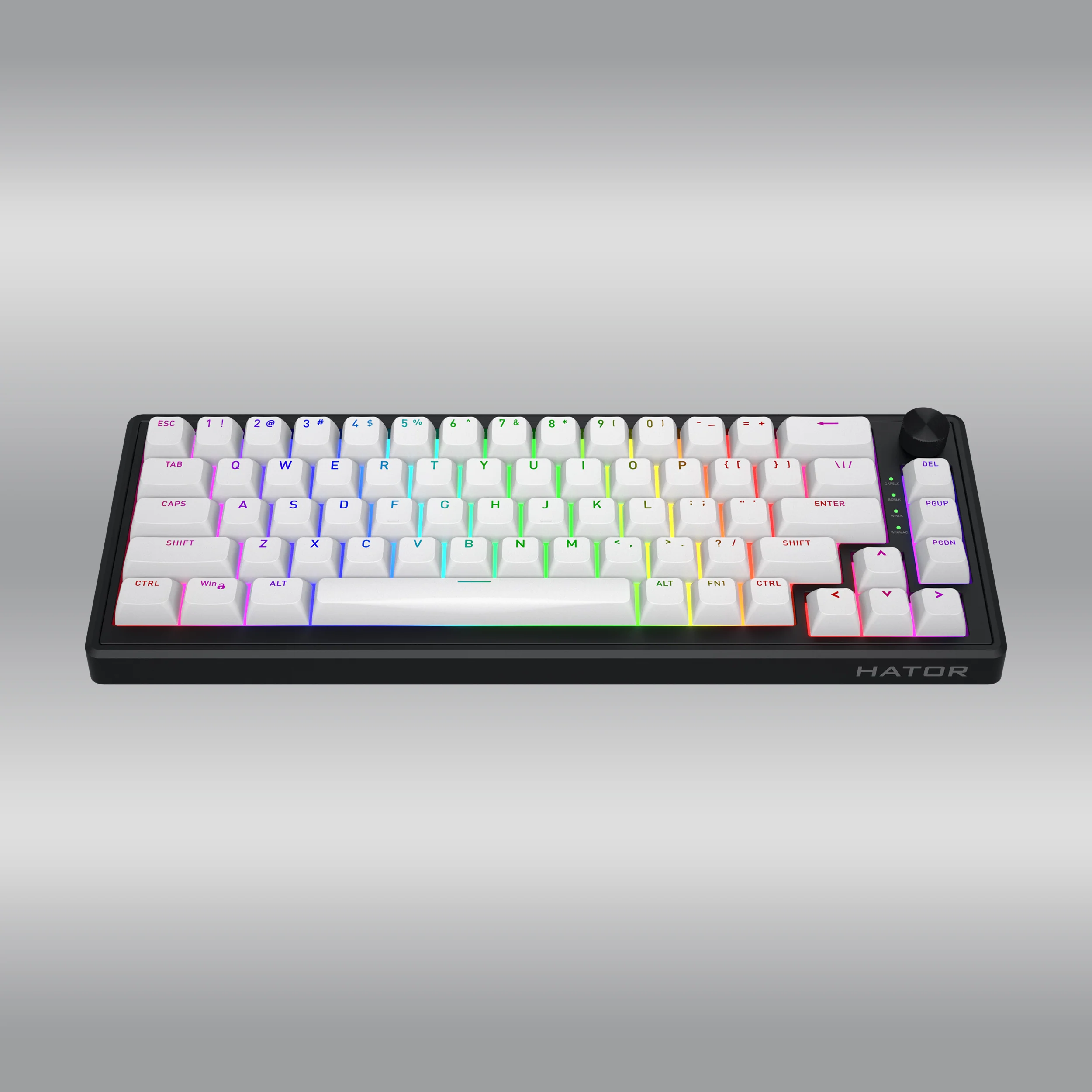 Skyfall 65 MAG Ultra 8K - Image 4